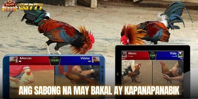 Ang sabong na may bakal ay kapanapanabik sa bawat sipa