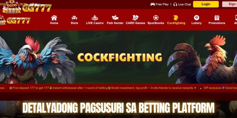 Detalyadong pagsusuri sa betting platform