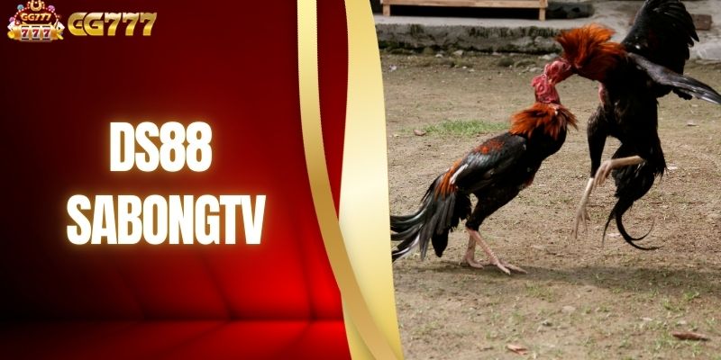 DS88 Sabong - Ang Pinakamahusay na Virtual na Paraiso ng Sabong 2026