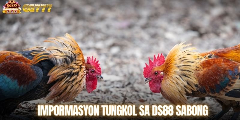 Impormasyon tungkol sa DS88 Sabong