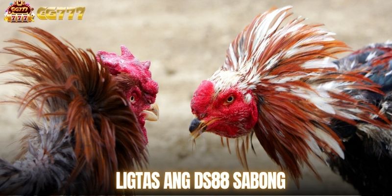 Ligtas ang DS88 Sabong