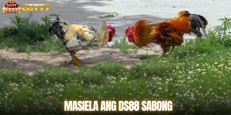 Masiela ang DS88 Sabong