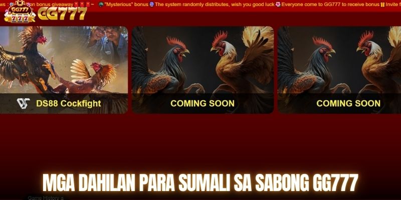 Mga dahilan para sumali sa sabong GG777