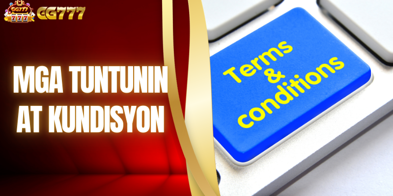 Mga Tuntunin At Kundisyon - Mga Regulasyon sa Paggamit ng Serbisyo