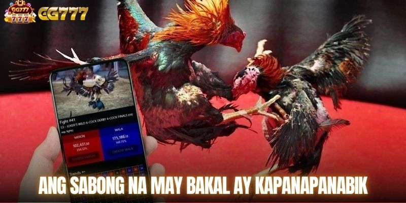 Tradisyonal na labanan ng tandang bantam